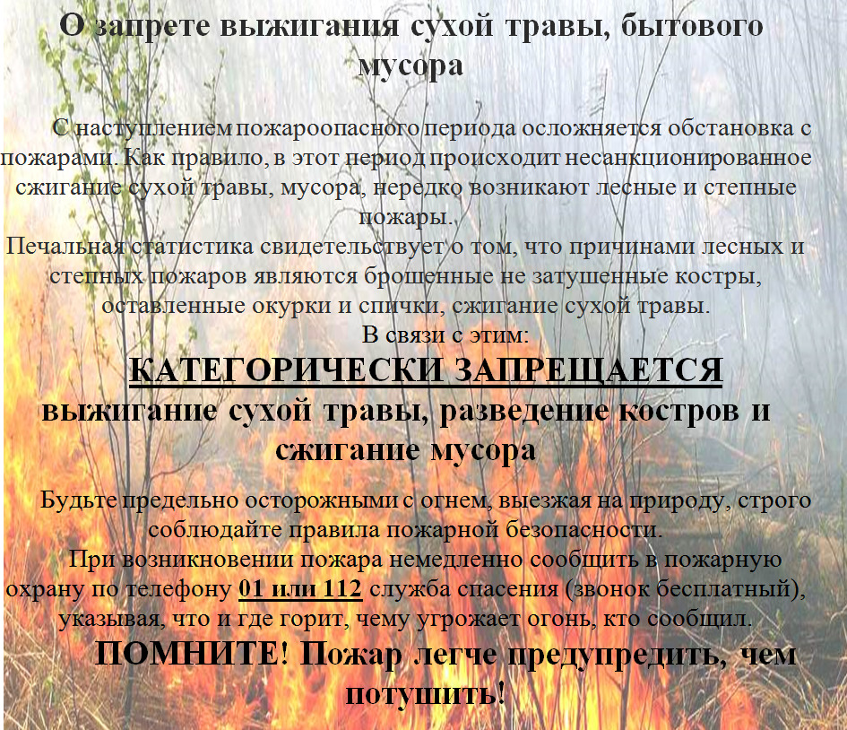 1_1_0.jpg