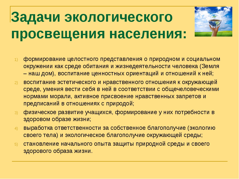 ekologicheskoe_prosveshchenie.jpg