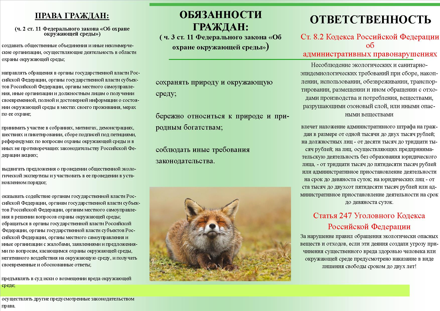 ekologicheskoe_prosveshchenie_2.jpg
