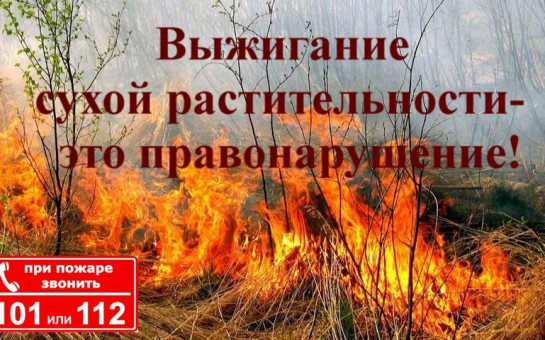 ПАМЯТКИ о запрете сжигания сухой травы.